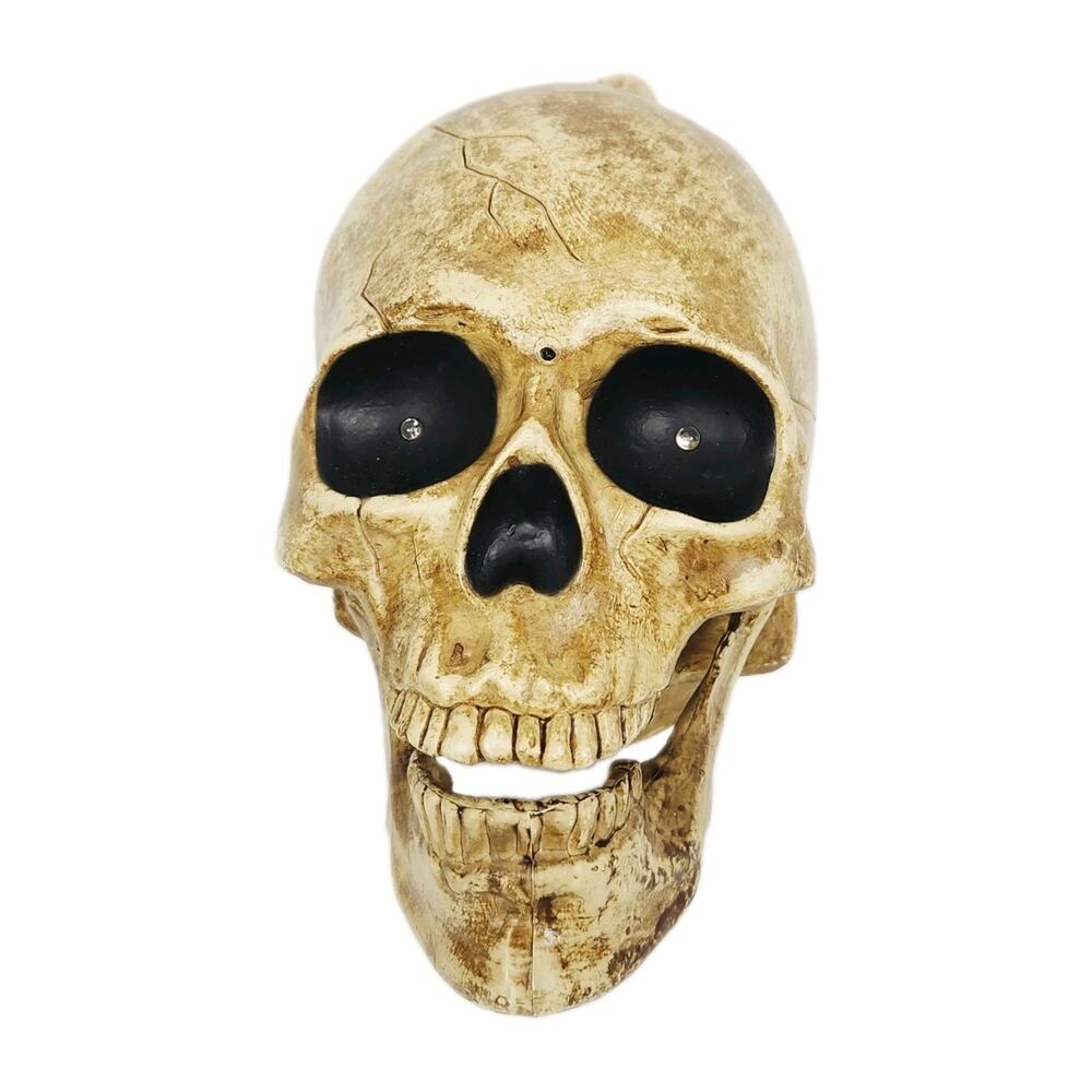 Magic Power Co Animated Talking Skull 2008 Halloween Motion Prop Works Great!